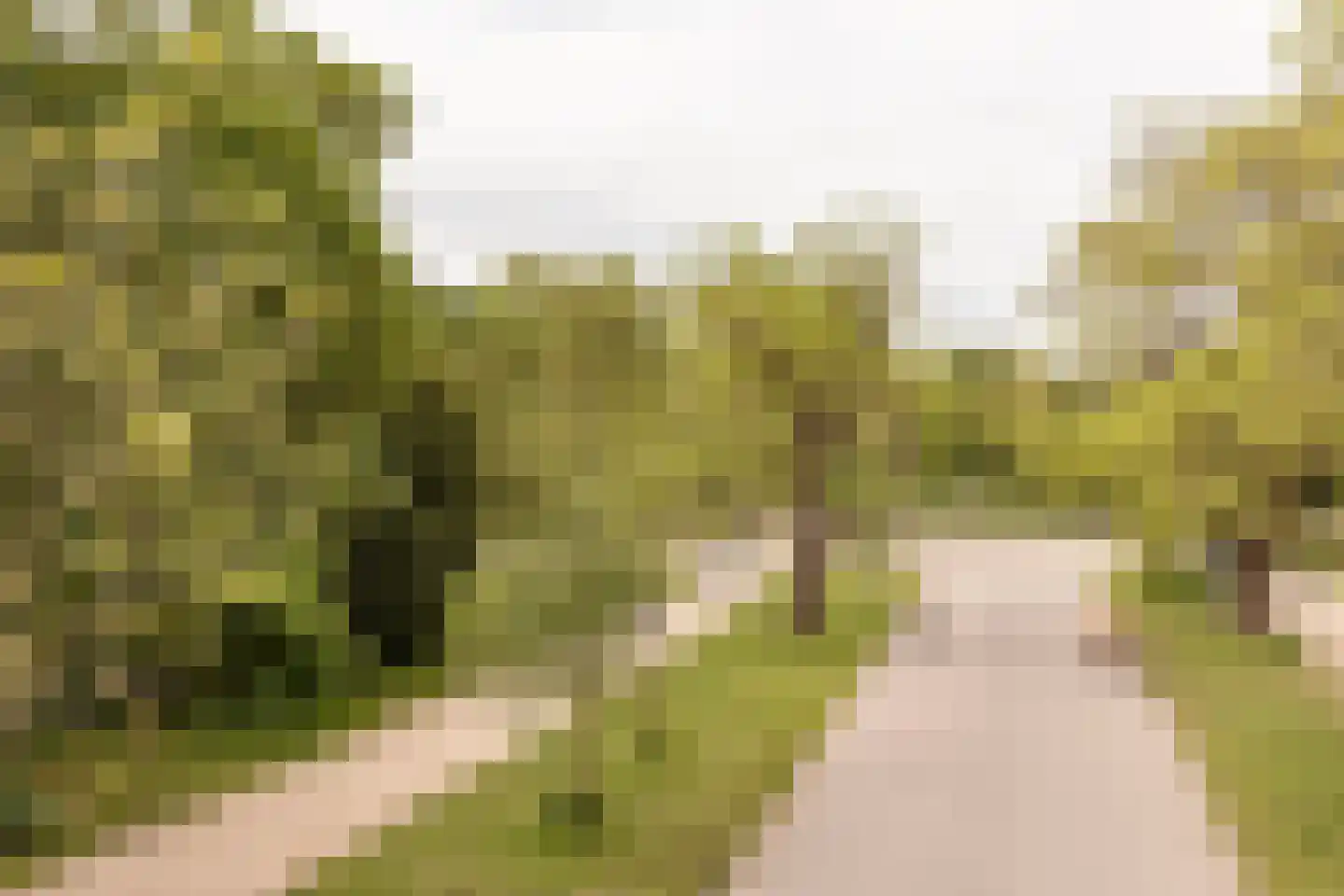 Eerste Helmersstraat 31 2 Amsterdam thumbnail 38