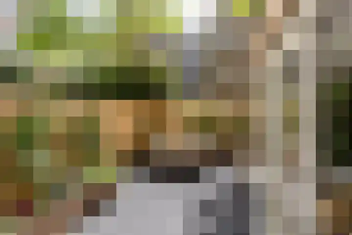 Eerste Helmersstraat 315 2 Amsterdam thumbnail 35