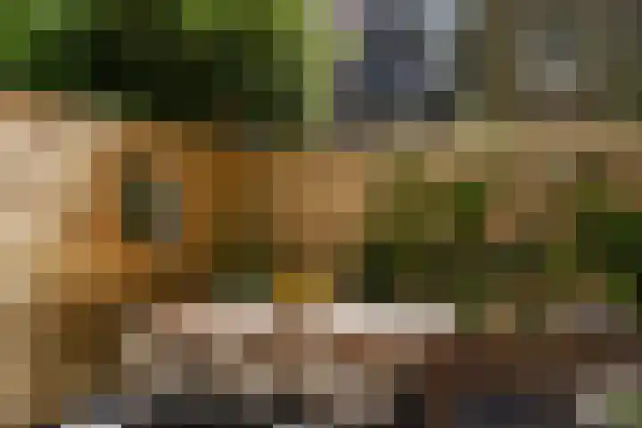 Eerste Helmersstraat 315 2 Amsterdam thumbnail 37