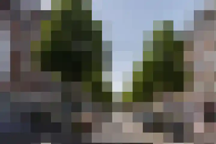 Eerste Helmersstraat 315 2 Amsterdam thumbnail 41