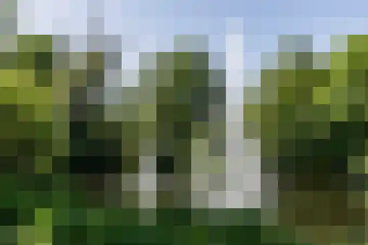 Eerste Helmersstraat 315 2 Amsterdam thumbnail 43
