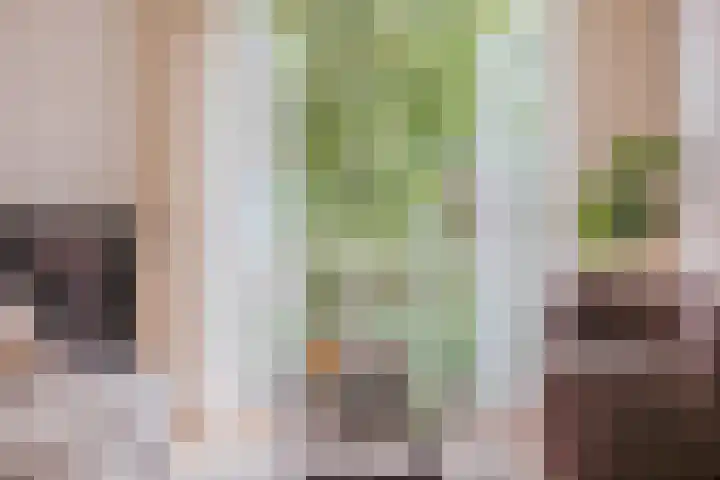 Eerste Helmersstraat 317 3 Amsterdam thumbnail 4