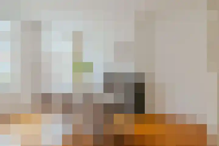 Eerste Helmersstraat 317 3 Amsterdam thumbnail 7