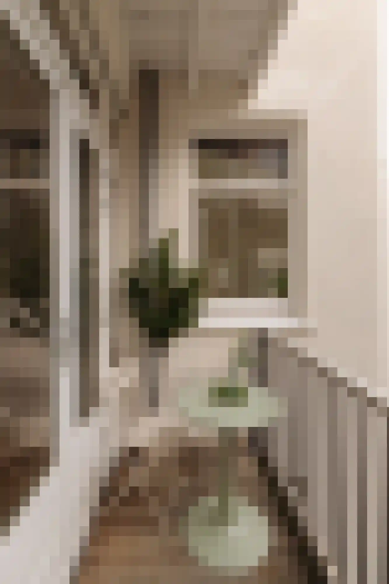 Eerste Helmersstraat 335 2 Amsterdam thumbnail 11
