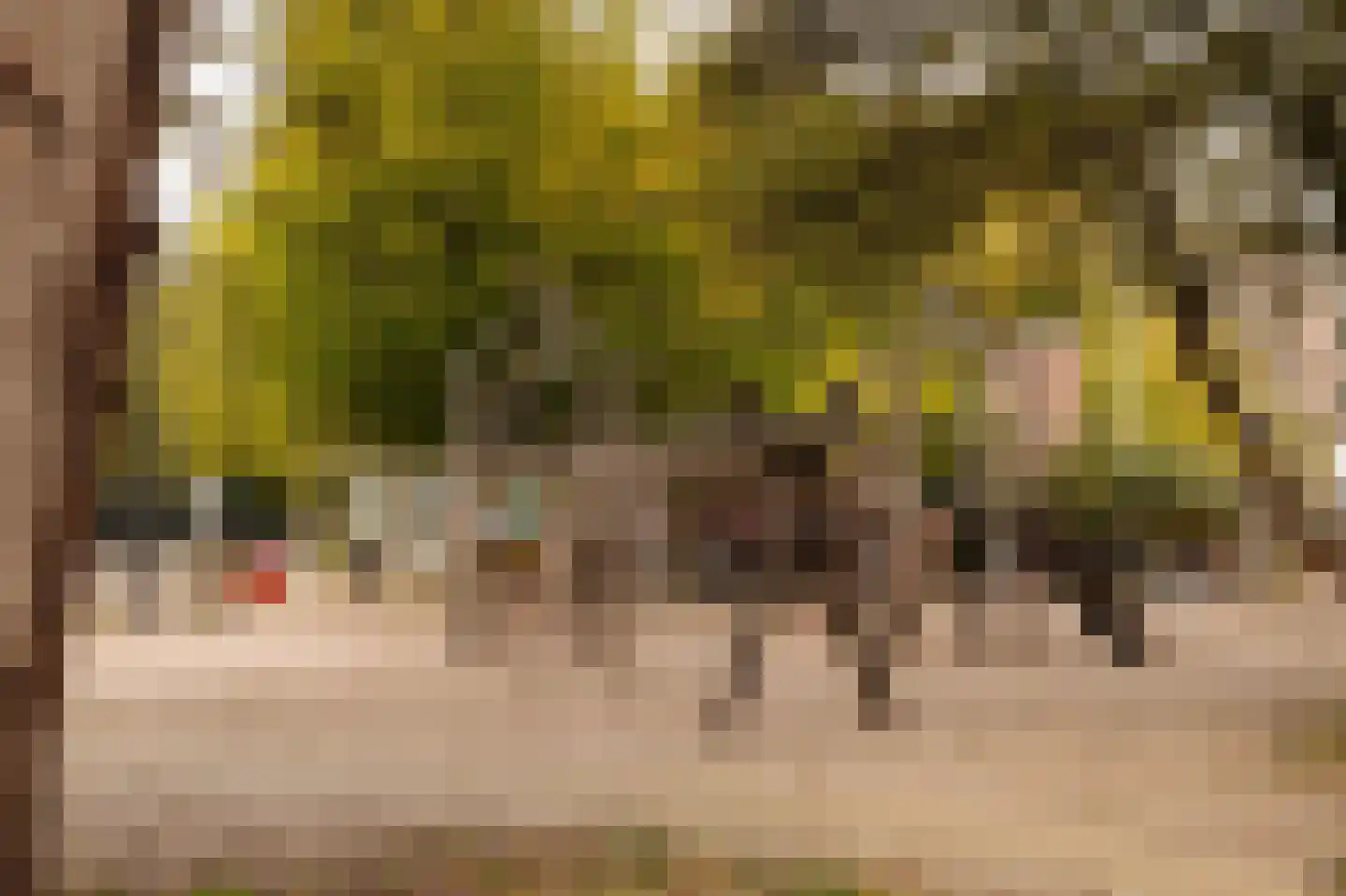 Eerste Helmersstraat 335 2 Amsterdam thumbnail 25