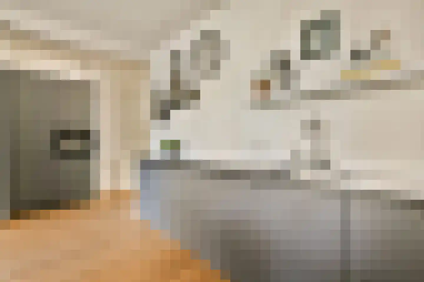 Eerste Helmersstraat 335 3 Amsterdam thumbnail 10