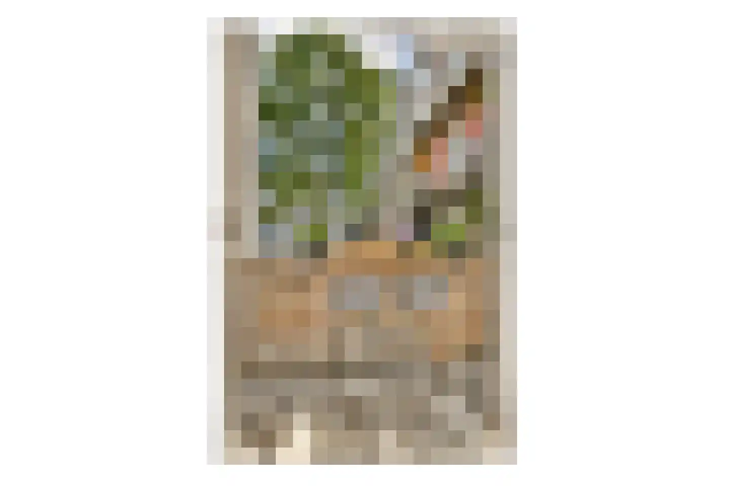 Eerste Helmersstraat 335 3 Amsterdam thumbnail 15