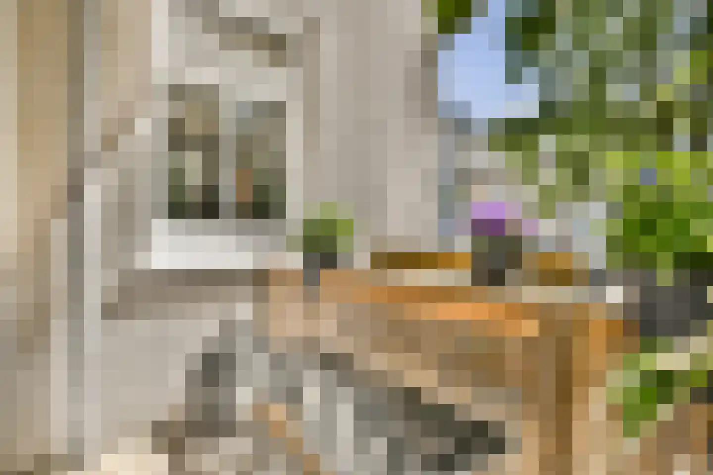 Eerste Helmersstraat 335 3 Amsterdam thumbnail 16