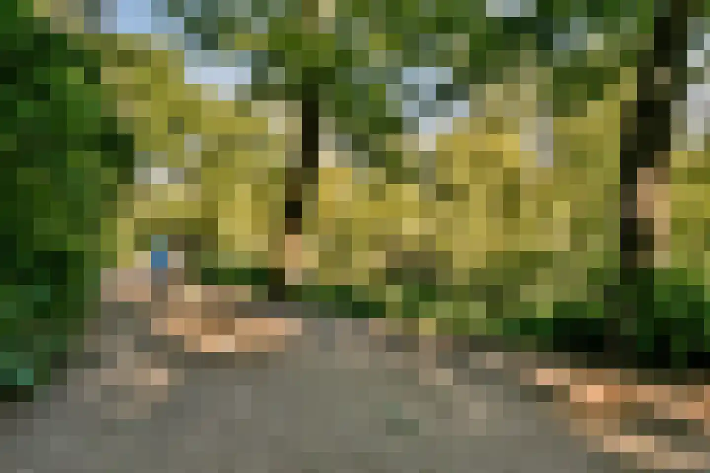 Eerste Helmersstraat 335 3 Amsterdam thumbnail 24
