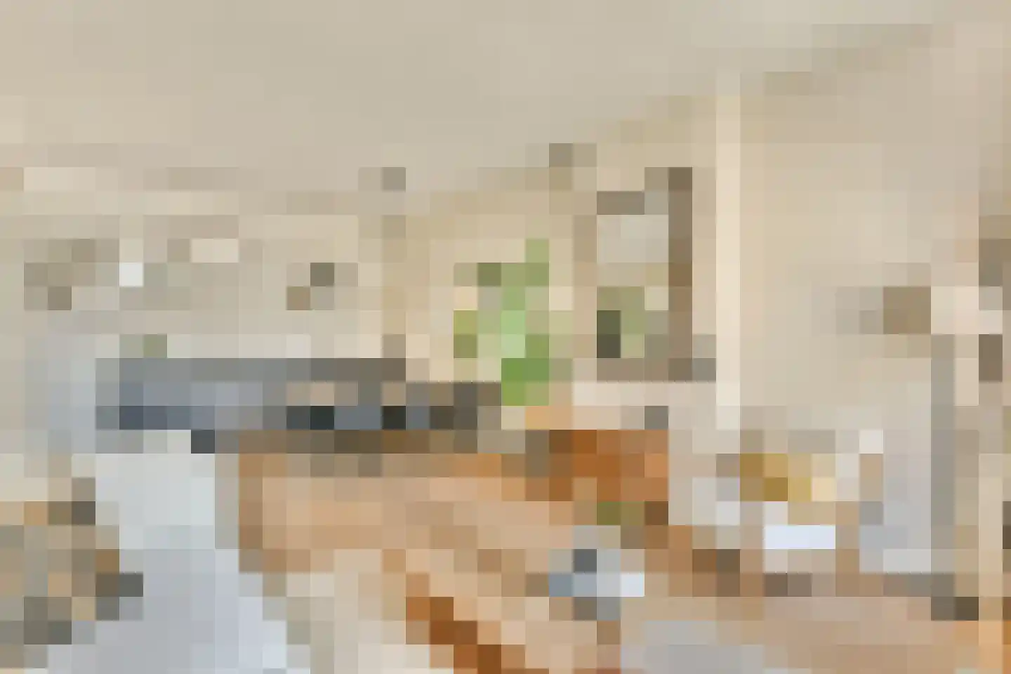 Eerste Helmersstraat 335 3 Amsterdam thumbnail 6