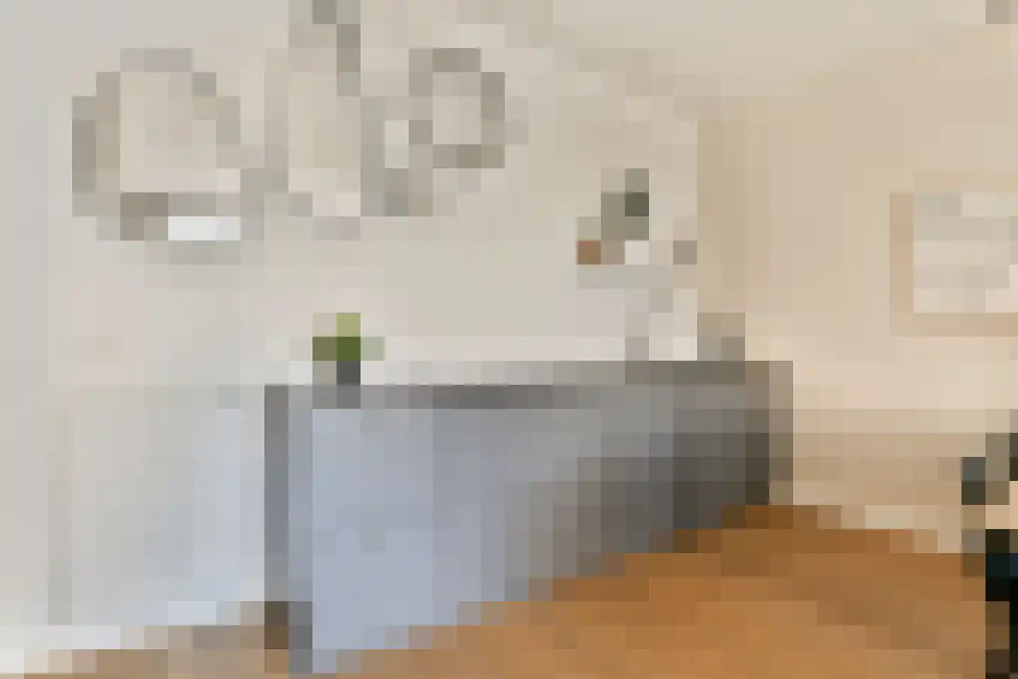 Eerste Helmersstraat 335 3 Amsterdam thumbnail 9