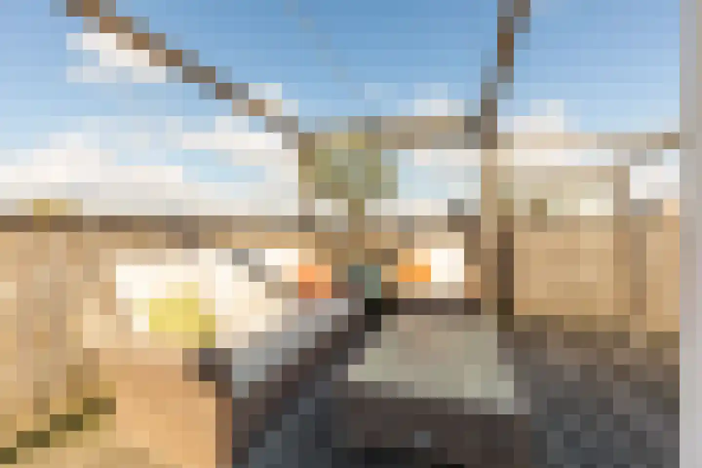 Eerste Helmersstraat 47 3 Amsterdam thumbnail 42