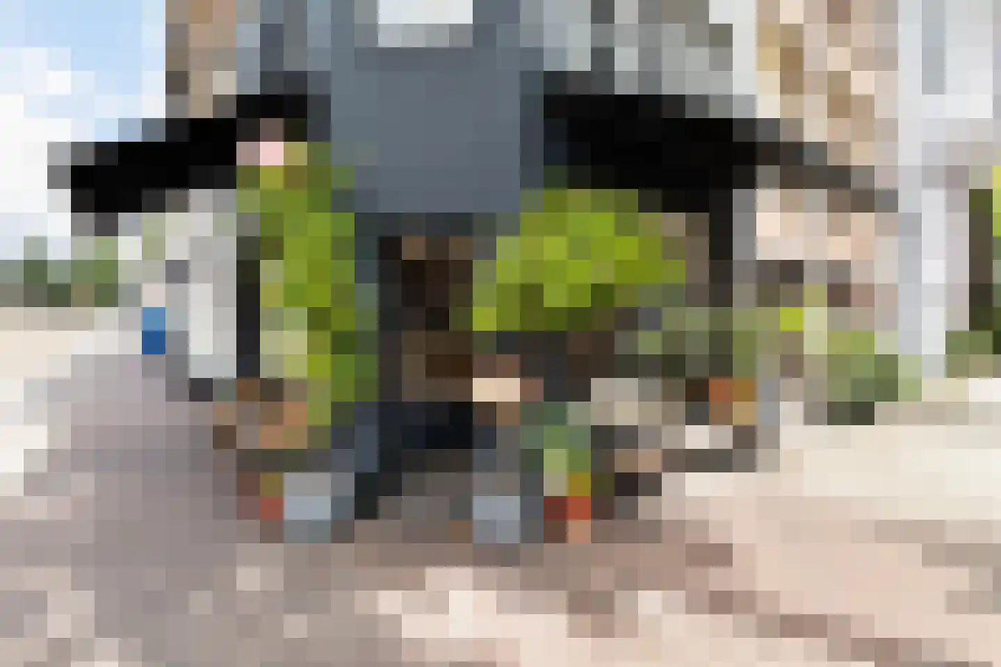 Eerste Helmersstraat 47 3 Amsterdam thumbnail 57