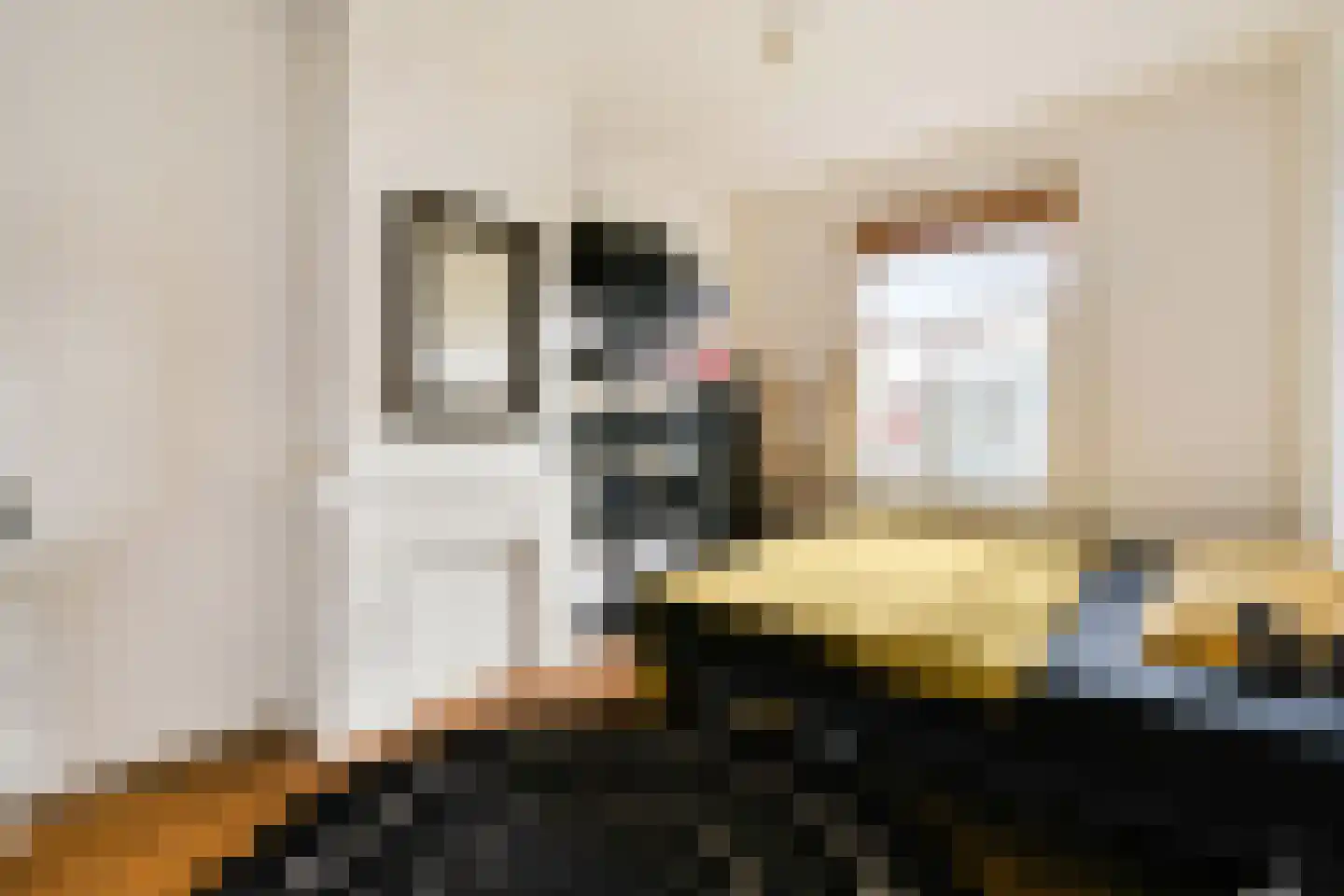 Eerste Helmersstraat 50 4 Amsterdam thumbnail 13