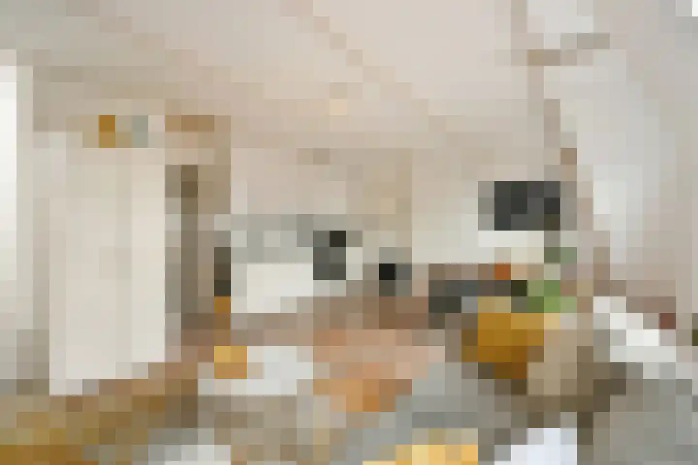 Eerste Helmersstraat 50 4 Amsterdam thumbnail 5
