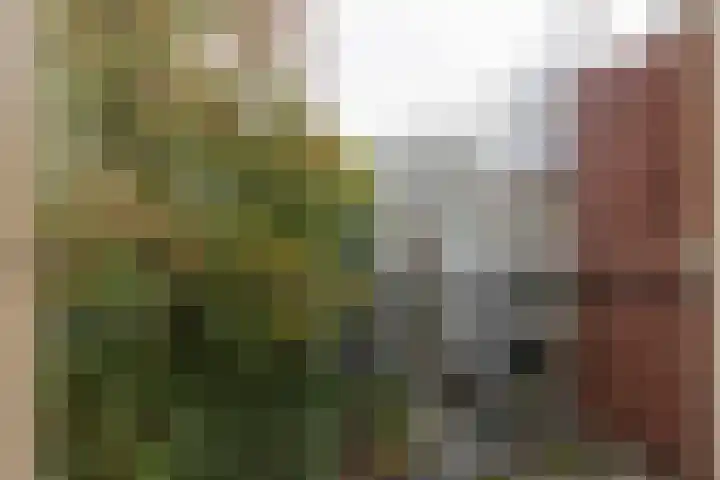 Eerste Helmersstraat 53 3 Amsterdam thumbnail 15