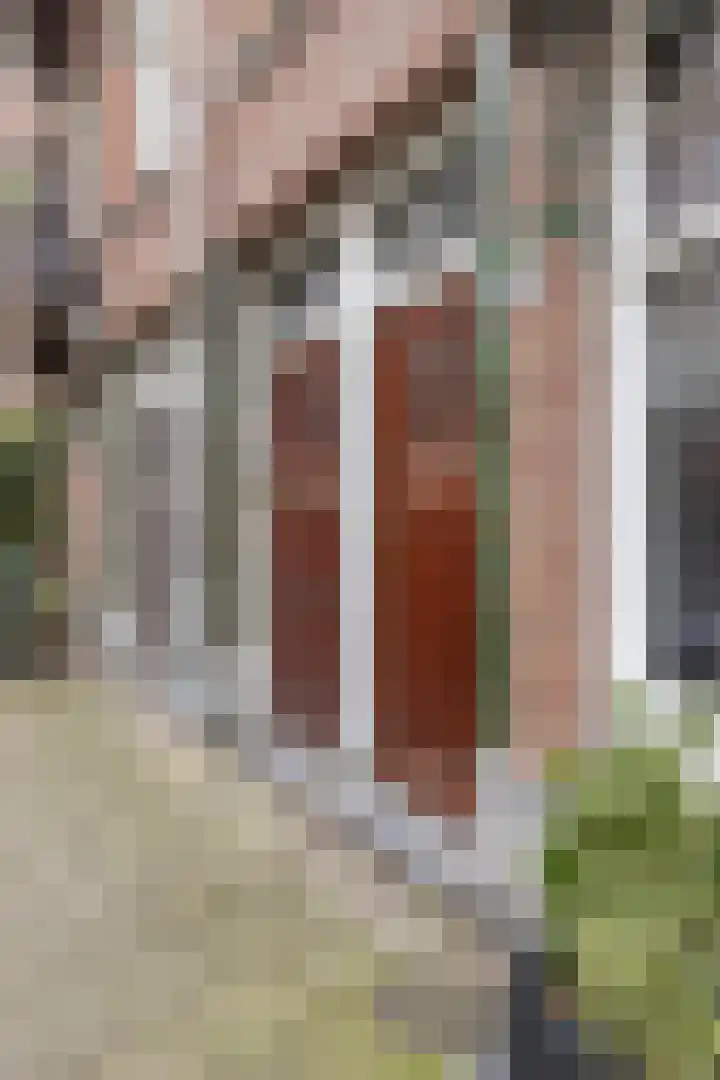 Eerste Helmersstraat 53 3 Amsterdam thumbnail 26