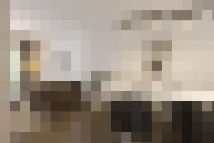 Eerste Helmersstraat 53 4 Amsterdam thumbnail 10