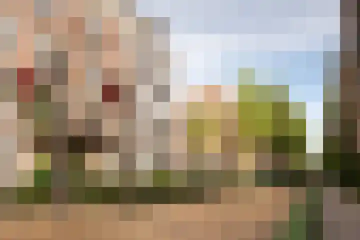 Eerste Helmersstraat 53 4 Amsterdam thumbnail 24