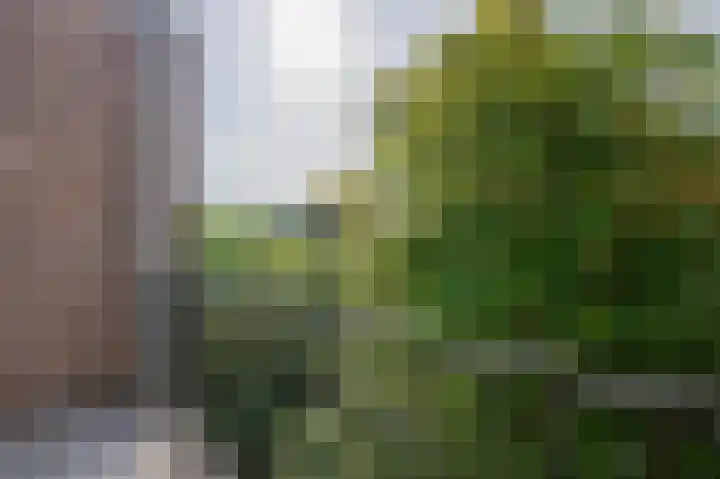 Eerste Helmersstraat 53 4 Amsterdam thumbnail 5
