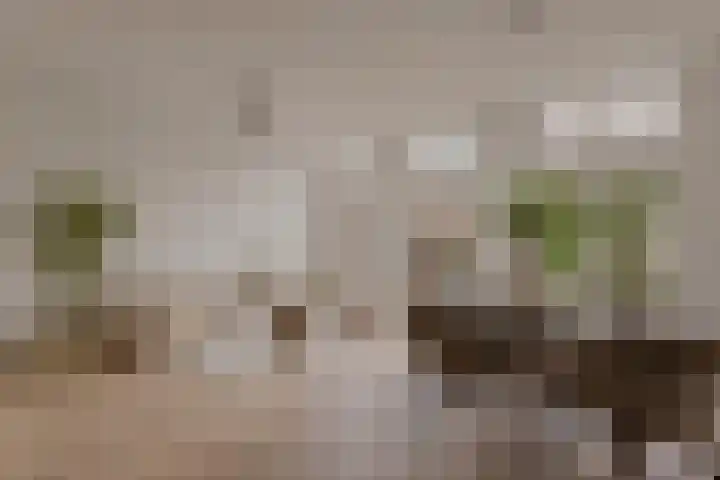 Eerste Helmersstraat 65 2 en Amsterdam