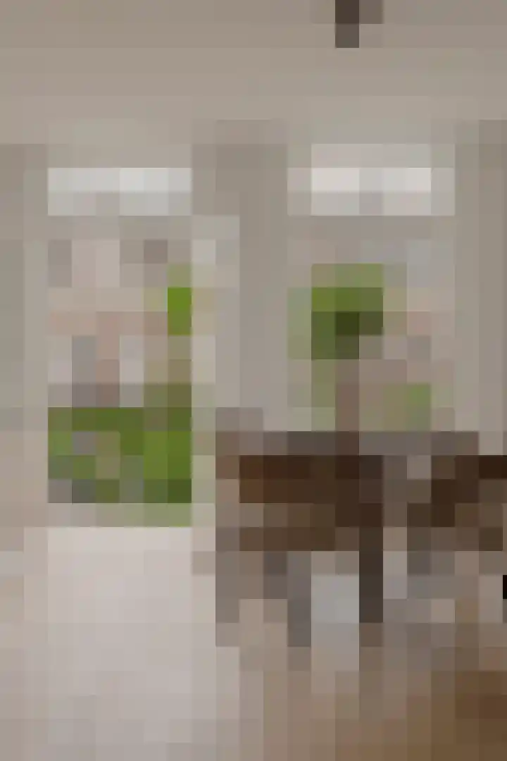 Eerste Helmersstraat 65 2 Amsterdam thumbnail 12