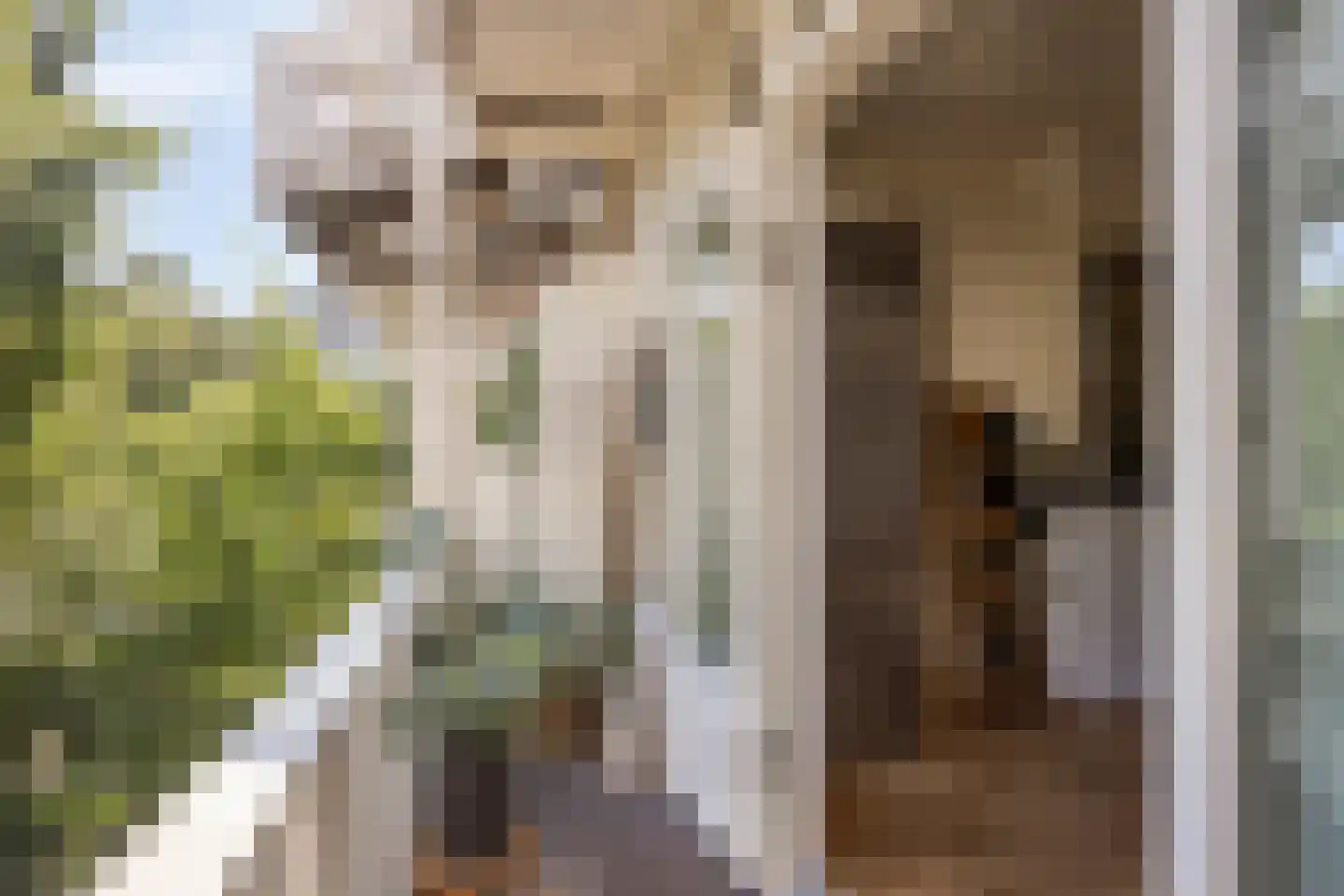 Eerste Helmersstraat 69 1 Amsterdam thumbnail 16