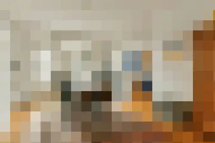 Eerste Helmersstraat 71 1 Amsterdam thumbnail 4