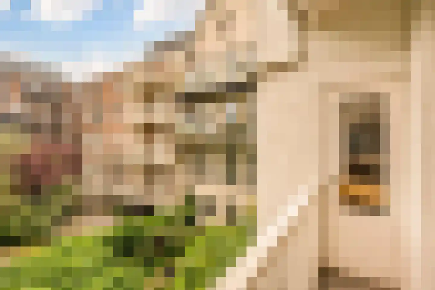 Eerste Helmersstraat 83 H Amsterdam thumbnail 30