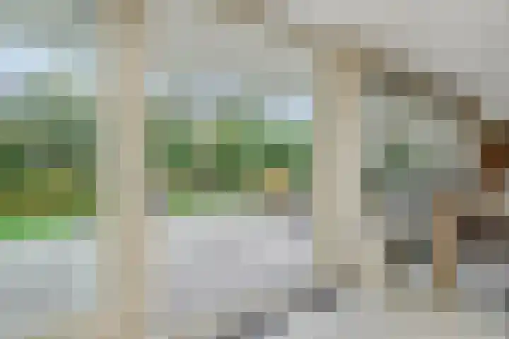 Eerste Hervendreef 1 's-Hertogenbosch thumbnail 11