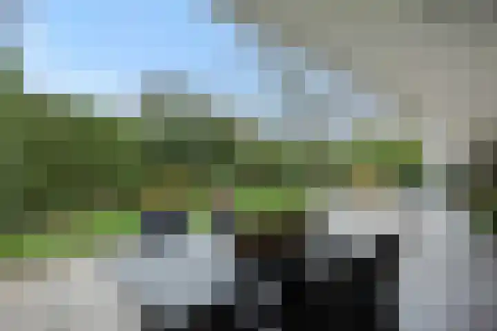 Eerste Hervendreef 1 's-Hertogenbosch thumbnail 12