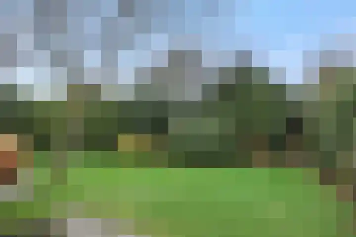 Eerste Hervendreef 1 's-Hertogenbosch thumbnail 14