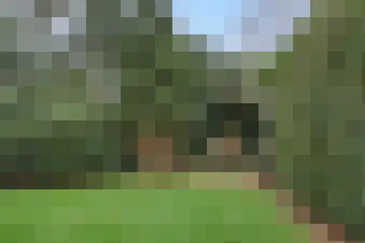 Eerste Hervendreef 1 's-Hertogenbosch thumbnail 15