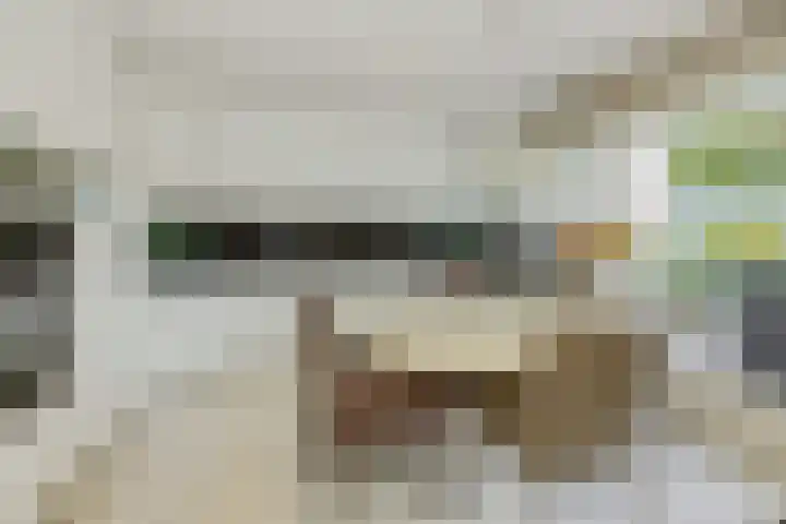 Eerste Hervendreef 1 's-Hertogenbosch thumbnail 19