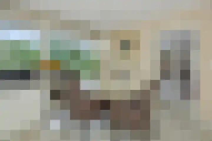 Eerste Hervendreef 1 's-Hertogenbosch thumbnail 20