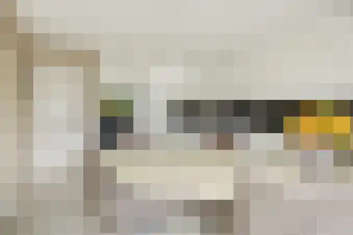 Eerste Hervendreef 1 's-Hertogenbosch thumbnail 21