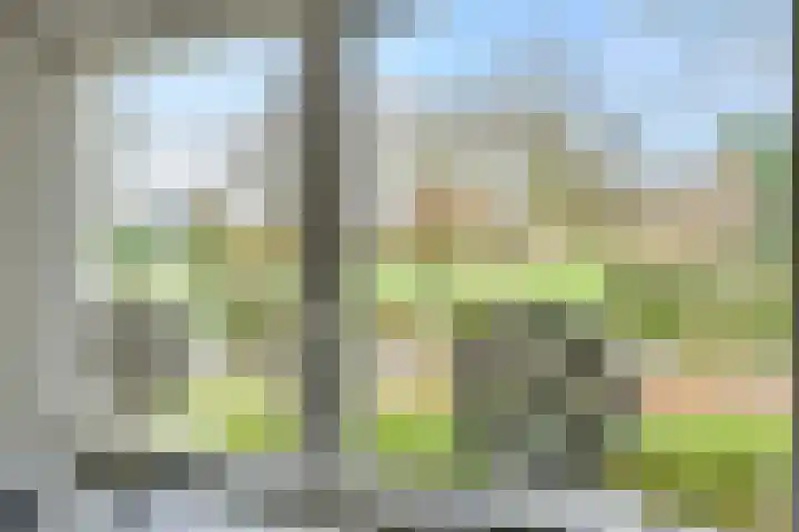 Eerste Hervendreef 1 's-Hertogenbosch thumbnail 24