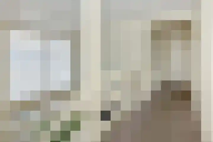 Eerste Hervendreef 1 's-Hertogenbosch thumbnail 25