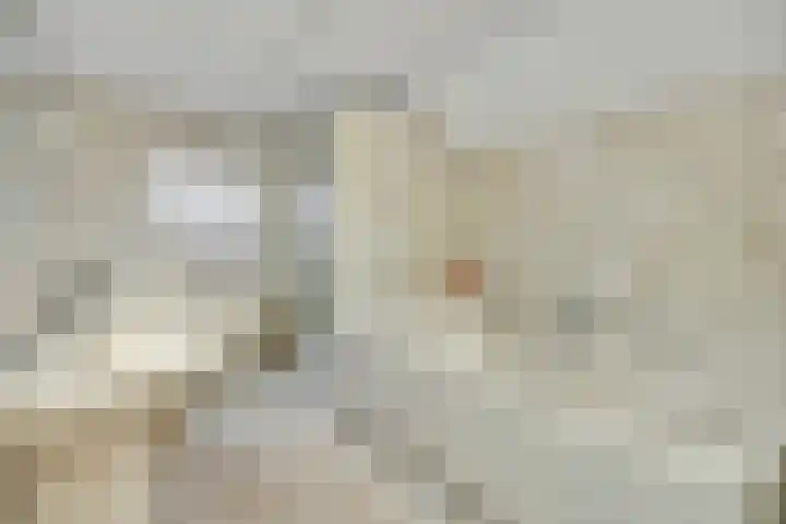 Eerste Hervendreef 1 's-Hertogenbosch thumbnail 30