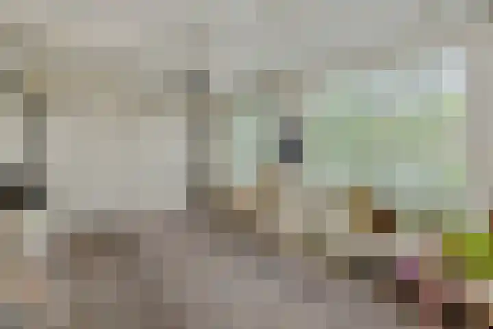 Eerste Hervendreef 1 's-Hertogenbosch thumbnail 37