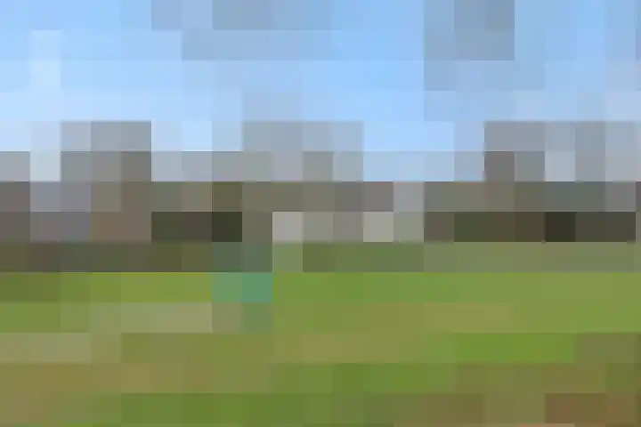 Eerste Hervendreef 1 's-Hertogenbosch thumbnail 41