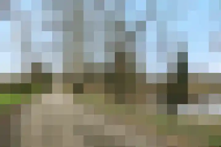 Eerste Hervendreef 1 's-Hertogenbosch thumbnail 42