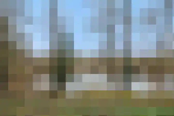 Eerste Hervendreef 1 's-Hertogenbosch thumbnail 43