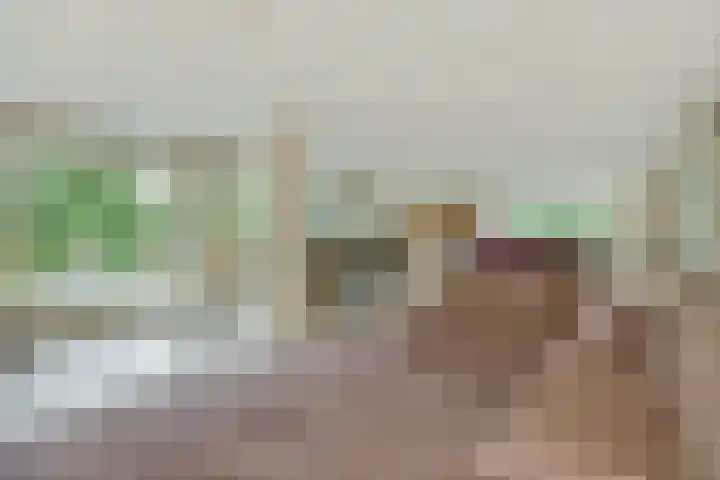 Eerste Hervendreef 1 's-Hertogenbosch thumbnail 5
