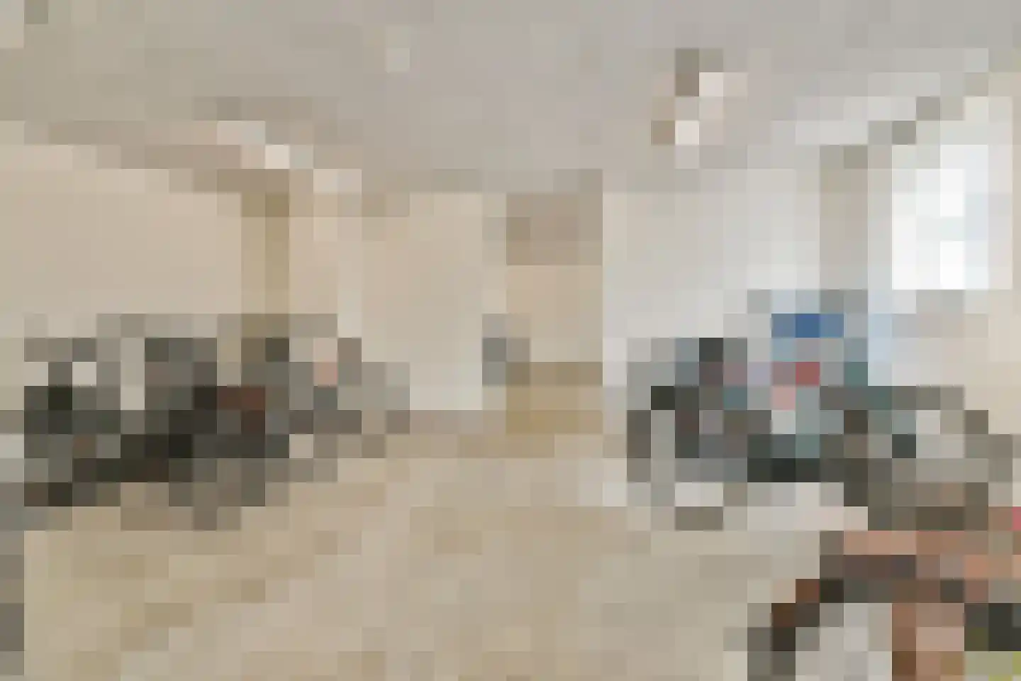 Eerste Heulbrugstraat 27 Spijkenisse thumbnail 14