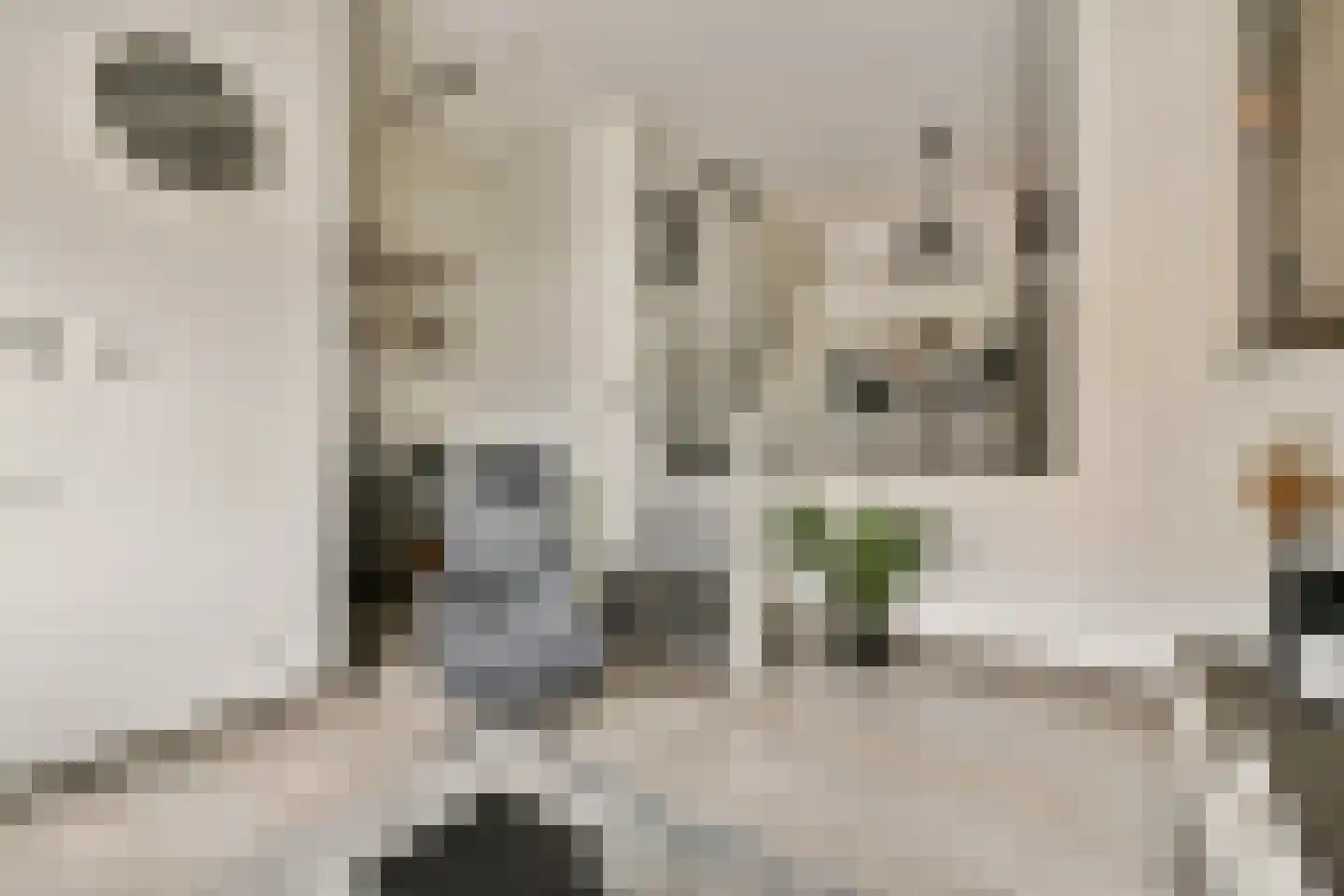 Eerste Heulbrugstraat 27 Spijkenisse thumbnail 7