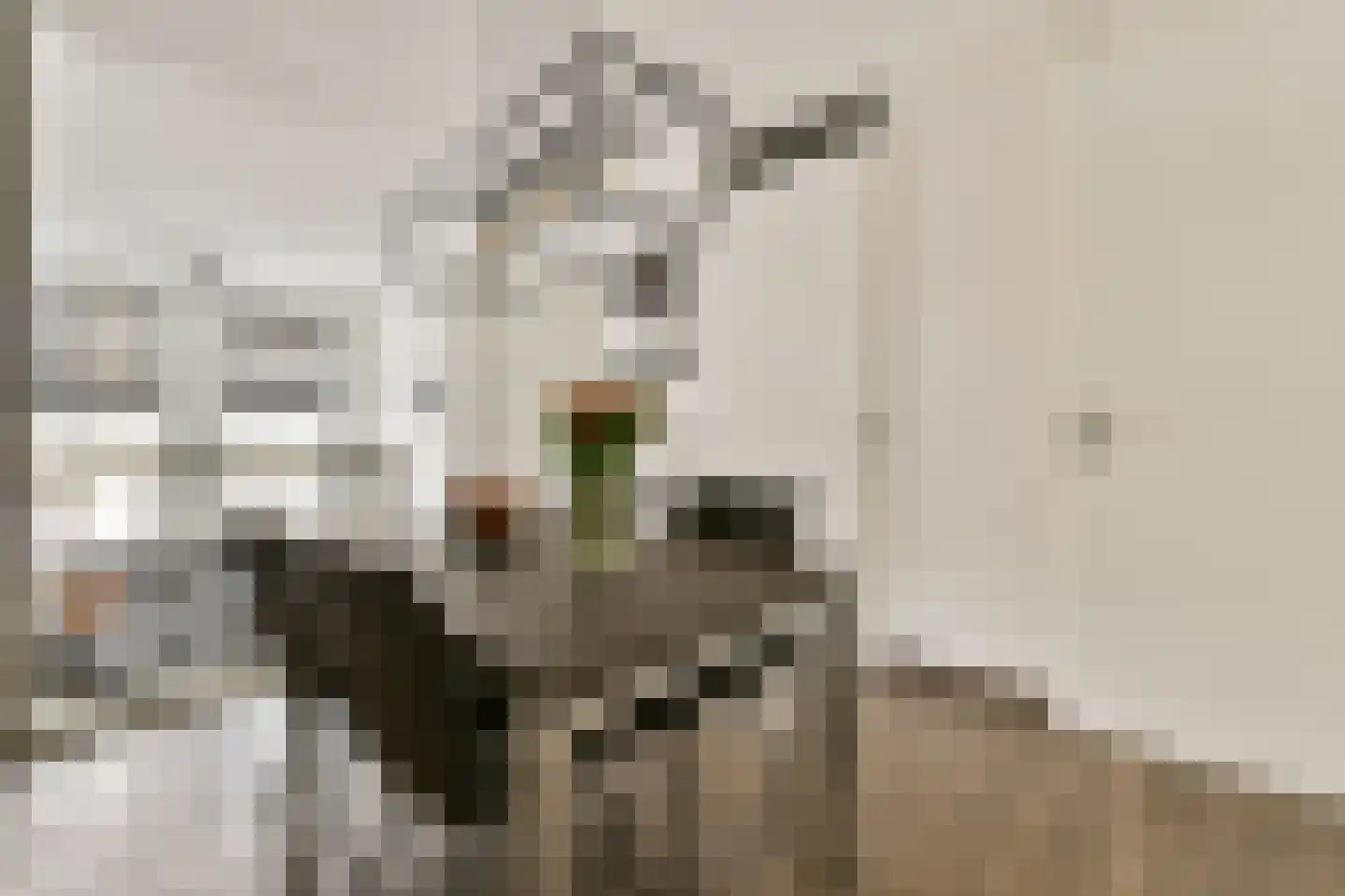 Eerste Heulbrugstraat 27 Spijkenisse thumbnail 8