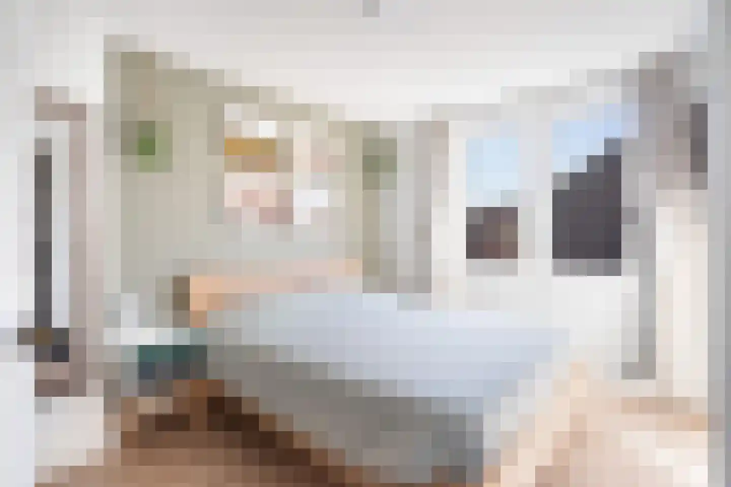 Eerste Hieronymus van Alphenstraat 114 Gouda thumbnail 11