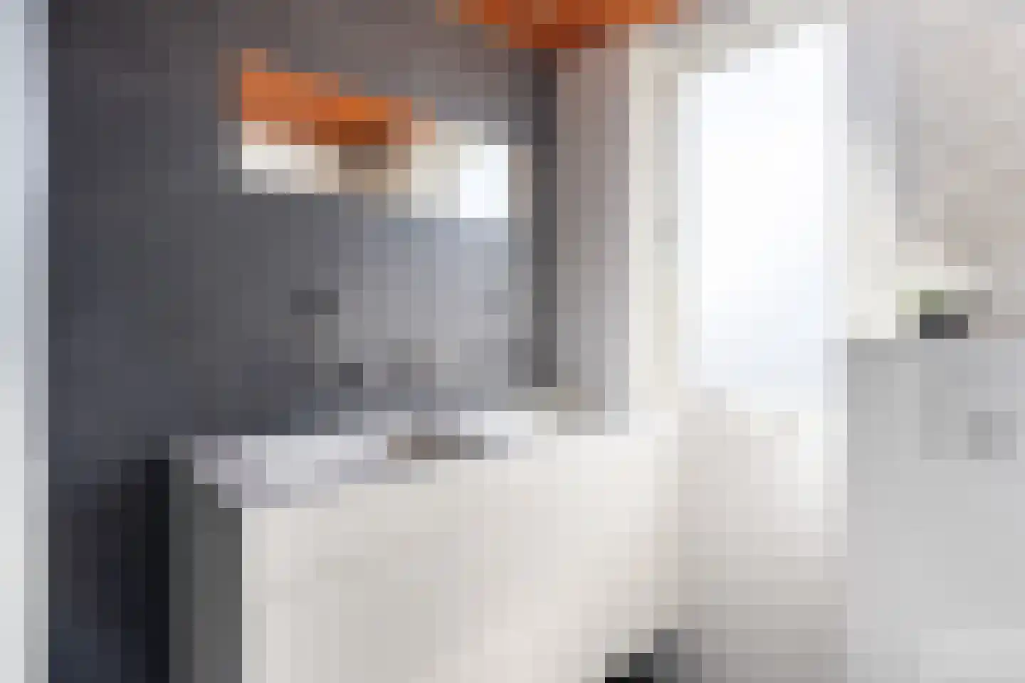 Eerste Hieronymus van Alphenstraat 114 Gouda thumbnail 18