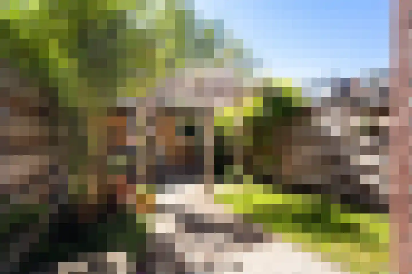 Eerste Hieronymus van Alphenstraat 114 Gouda thumbnail 25